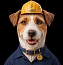 Sparky