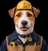 Carpenter