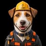 Roofer